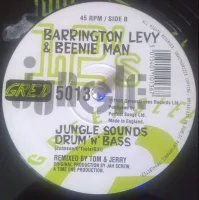Two Sounds Jungle / Jungle Sounds Drum 'N' Bass
