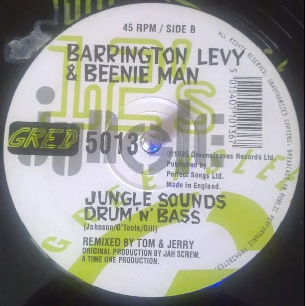 Two Sounds Jungle / Jungle Sounds Drum 'N' Bass