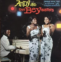 Andy And The Bey Sisters