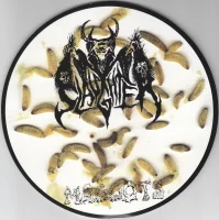 Maggots