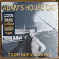 Town Burned Down
