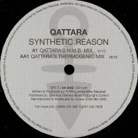 Synthetic Reason