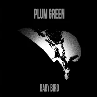 Baby Bird