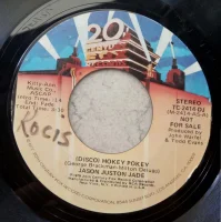 (Disco) Hokey Pokey