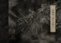 From Dust to Stars 塵から星へ