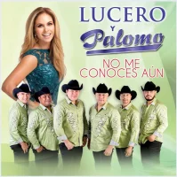 No Me Conoces Aun (feat Palomo)