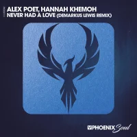 Never Had A Love (Demarkus Lewis Remix)