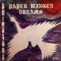 Paper Winged Dreams