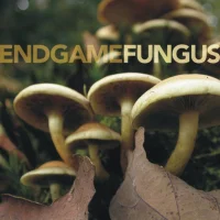 Fungus