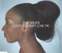 Guess You Didn't Love Me