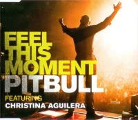 Feel This Moment