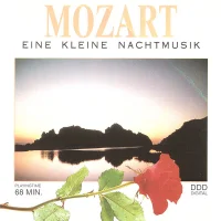Eine Kleine Nachtmusic