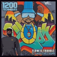 Flow Is Trouble