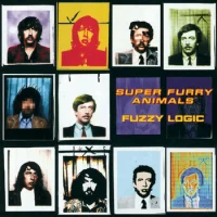 Fuzzy Logic