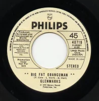 Big Fat Oranguman