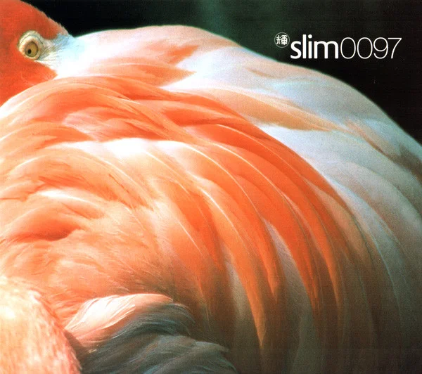 Slim 0097