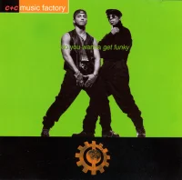 Do You Wanna Get Funky