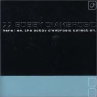 Here I Am • The Bobby D'Ambrosio Collection