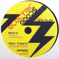 Electric Moods And Long Play