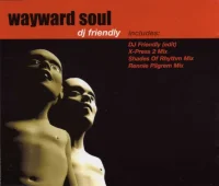 DJ Friendly