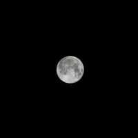 Moon Phantoms