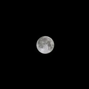 Moon Phantoms