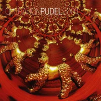 Operation Pudel 2001