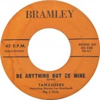 Be Anything But Be Mine