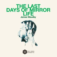 The Last Days Of Mirror Life