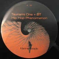 Hip Hop Phenomenon