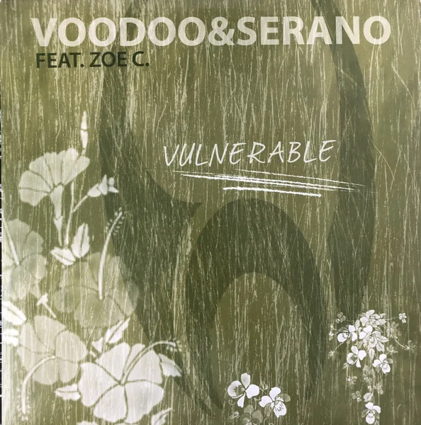 Vulnerable
