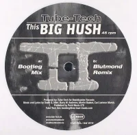 This Big Hush