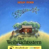 Der Weihnachtsstern