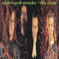 Wide-Eyed Wonder