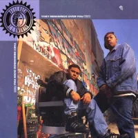 They Reminisce Over You (T.R.O.Y.)