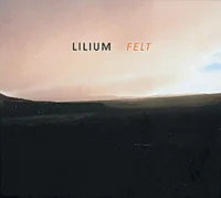 Felt