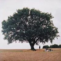 Vild Ungdom