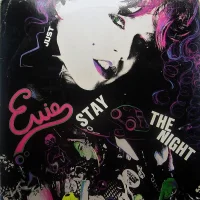 Just Stay The Night