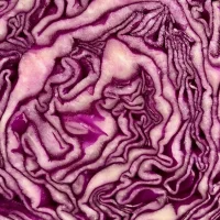 Crudforms Vol. 3