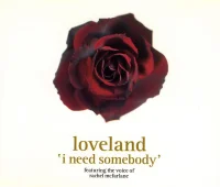 I Need Somebody