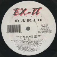 Dreams In The Night
