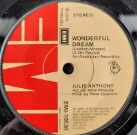 Wonderful Dream