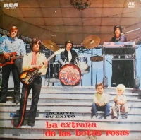 La Extraña De Las Botas Rosas