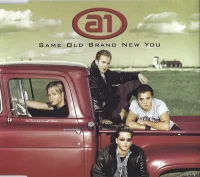 Same Old Brand New You