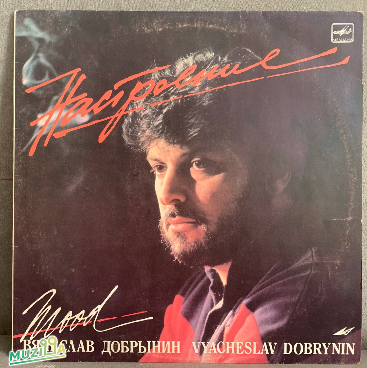Вячеслав Добрынин - Настроение, LP(EX/NM)