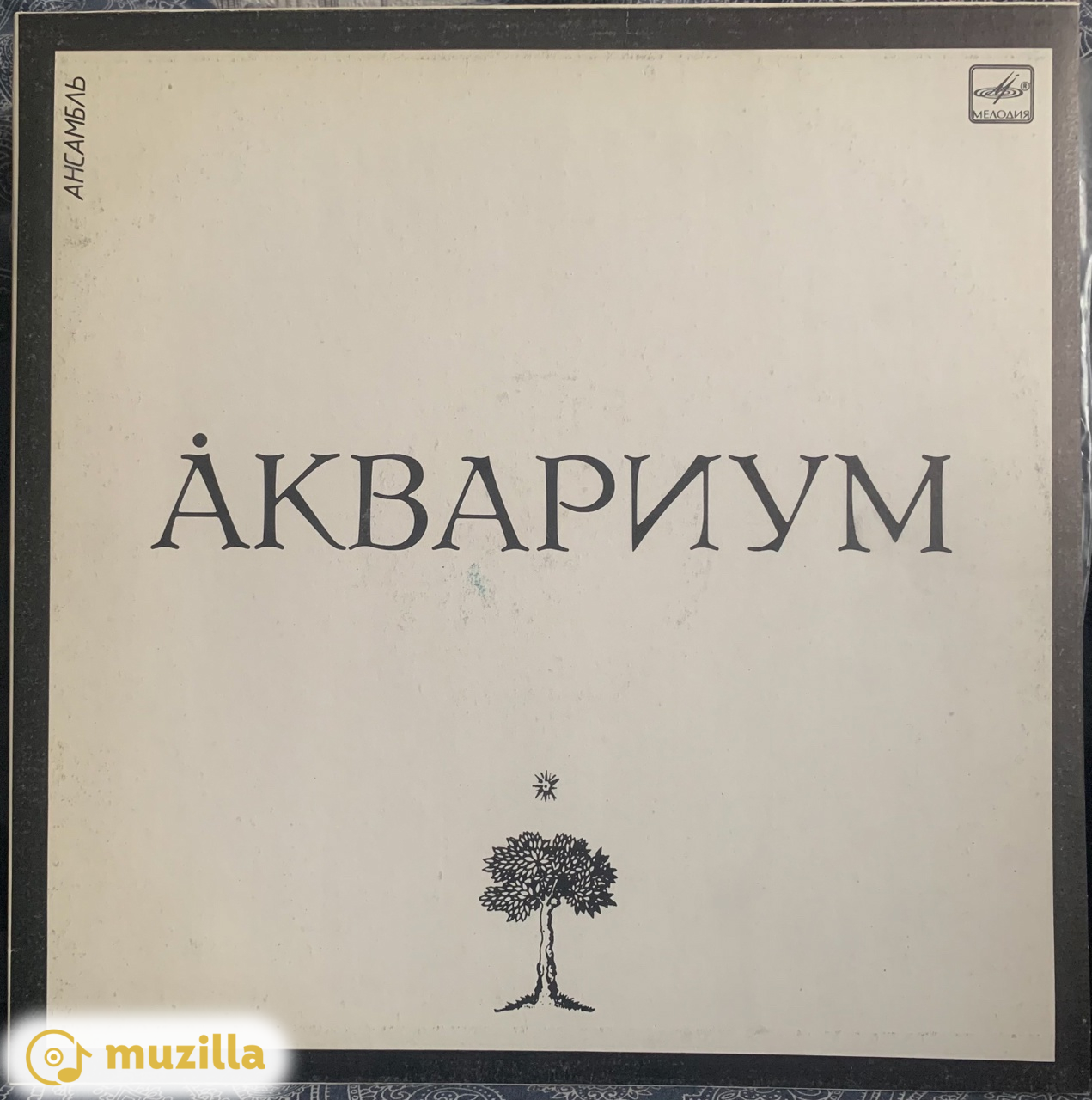 Аквариум - Åквариум