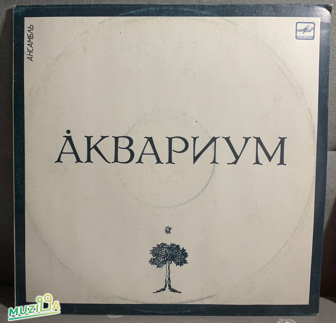 Аквариум - Åквариум