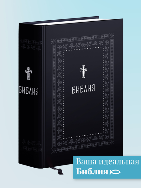 Библия. Книги Священного Писания Ветхого и Нового Завета. Серебряная серия
