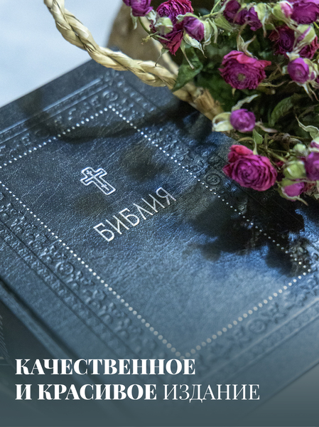Библия. Книги Священного Писания Ветхого и Нового Завета. Серебряная серия