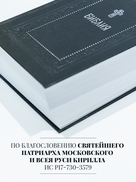Библия. Книги Священного Писания Ветхого и Нового Завета. Серебряная серия